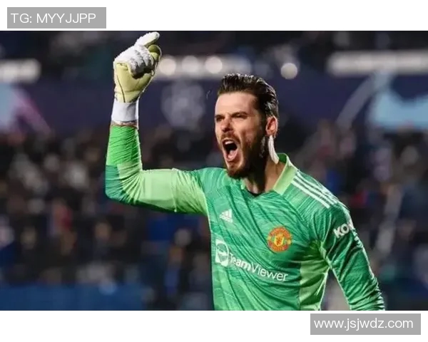 足球明星中姓戴的球员有哪些他们的成就和影响力分析